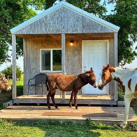 Tiny Cabin At The Donkeyranch Medicine Park Eksteriør billede