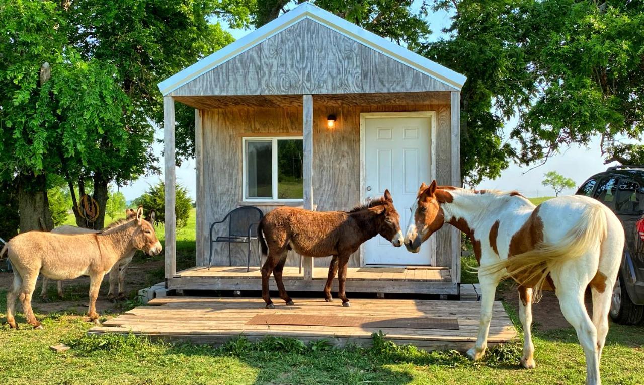 Tiny Cabin At The Donkeyranch Medicine Park Eksteriør billede